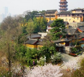 大竹南京周边游(南京周边游景点大全 自驾车旅游)