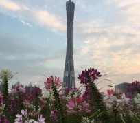大竹广州旅游攻略(杭州到广州旅游攻略)