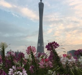 大竹广州旅游攻略(杭州到广州旅游攻略)