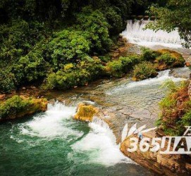 大竹去哪里旅游好(七月八月去哪里旅游好)