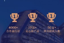 大竹上海私人伴游 ​ “小而美”的新时代：2020年国内新跟团消费报告