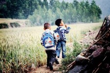 大竹河南一家四口结伴游中国2个月(河南适合一家四口旅游的地方)