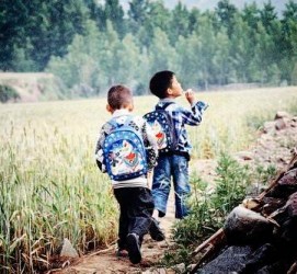 大竹河南一家四口结伴游中国2个月(河南适合一家四口旅游的地方)