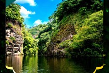大竹旅游报价(旅行团旅游报价)