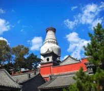 大竹游玩景点(游玩景点有哪些)