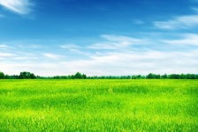 大竹上海伴游 上海模特伴游微信号的交友宣言