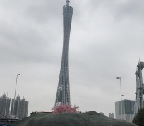 大竹广州游玩攻略(广州游玩攻略景点大全免费)