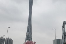 大竹广州游玩攻略(广州游玩攻略景点大全免费)