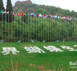 大竹昆明旅游攻略(昆明旅游攻略景点大全抚仙湖)