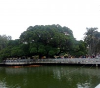 大竹福州旅游攻略(福州旅游攻略二日游)
