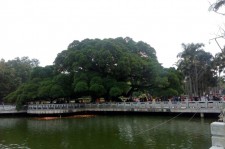 大竹福州旅游攻略(福州旅游攻略二日游)