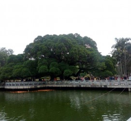 大竹福州旅游攻略(福州旅游攻略二日游)
