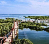 大竹旅游哪里好玩(云南旅游哪里好玩)