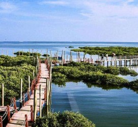 大竹旅游哪里好玩(云南旅游哪里好玩)