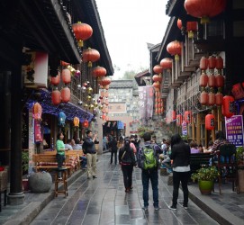 大竹成都自助游(成都自助游住哪里方便)