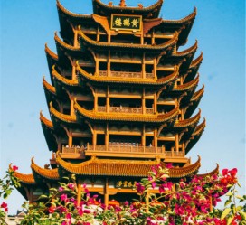大竹武汉游玩攻略(武汉游玩攻略路线)
