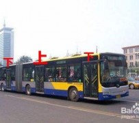 大竹出行攻略(出行攻略怎么做)