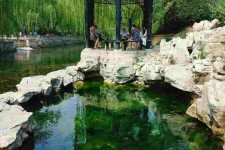 大竹济南旅游攻略(青岛威海济南旅游攻略)