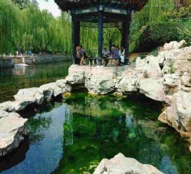 大竹济南旅游攻略(青岛威海济南旅游攻略)