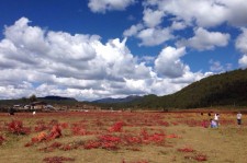 大竹旅游去处(暑期最好的旅游去处)