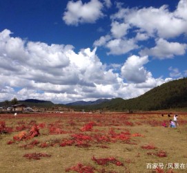 大竹旅游去处(暑期最好的旅游去处)