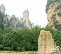 大竹自驾旅游攻略(自驾旅游攻略app排行榜)