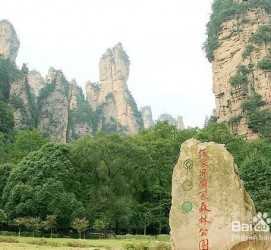大竹自驾旅游攻略(自驾旅游攻略app排行榜)