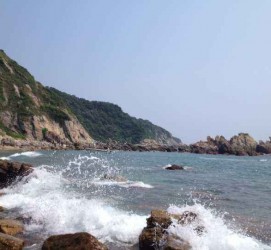 大竹深圳旅游攻略(广州深圳旅游攻略)