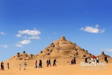 大竹旅游图片大全(跟团旅游图片大全)