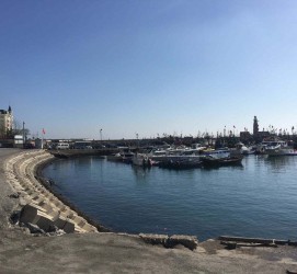 大竹大连旅游攻略(大连旅游攻略自由行)
