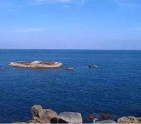 大竹短途游(短途游玩的说说)