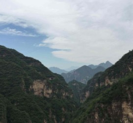 大竹伴游中国伴游城(伴游网上海)