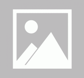 大竹私人伴游 黄金周里动“黄”经 天津又现“私人陪游”逆流