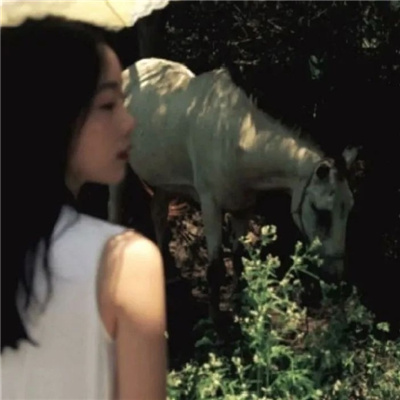 大竹私家伴游让你拥有一次完美的旅游体验