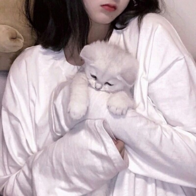 大竹伴游女生蕾鮑的资料